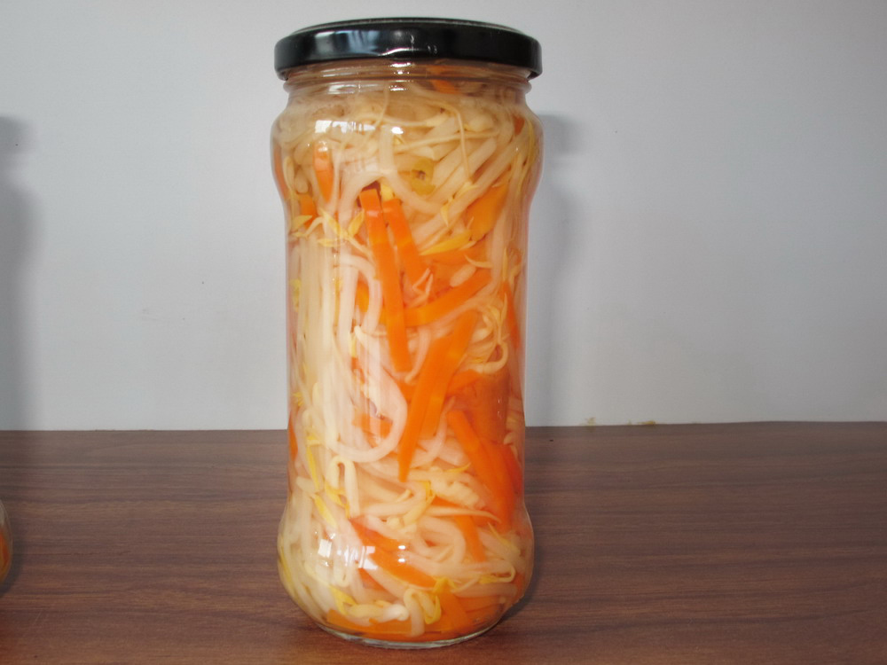 Bean Sprout+Carrot Strips