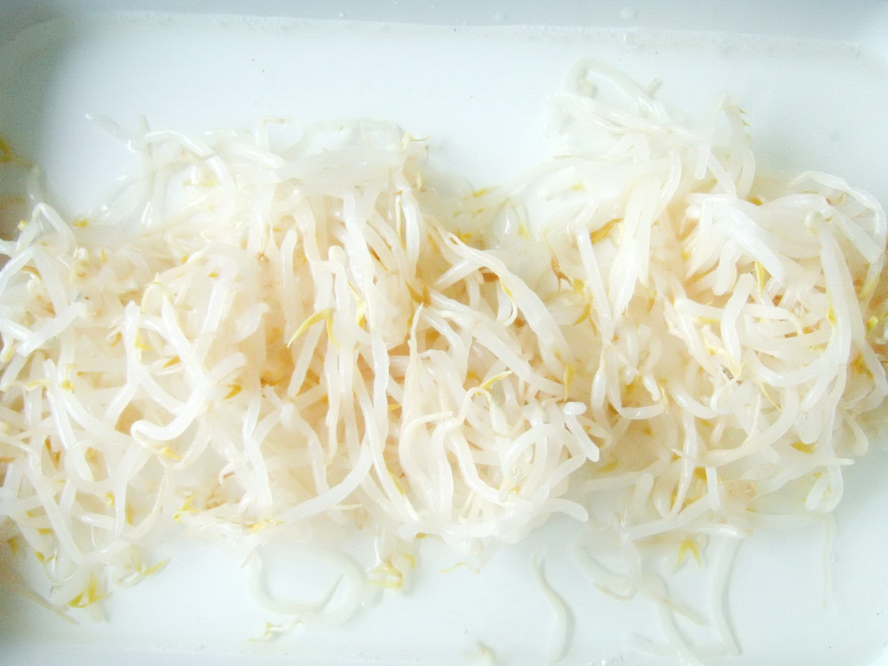 Bean Sprouts-1