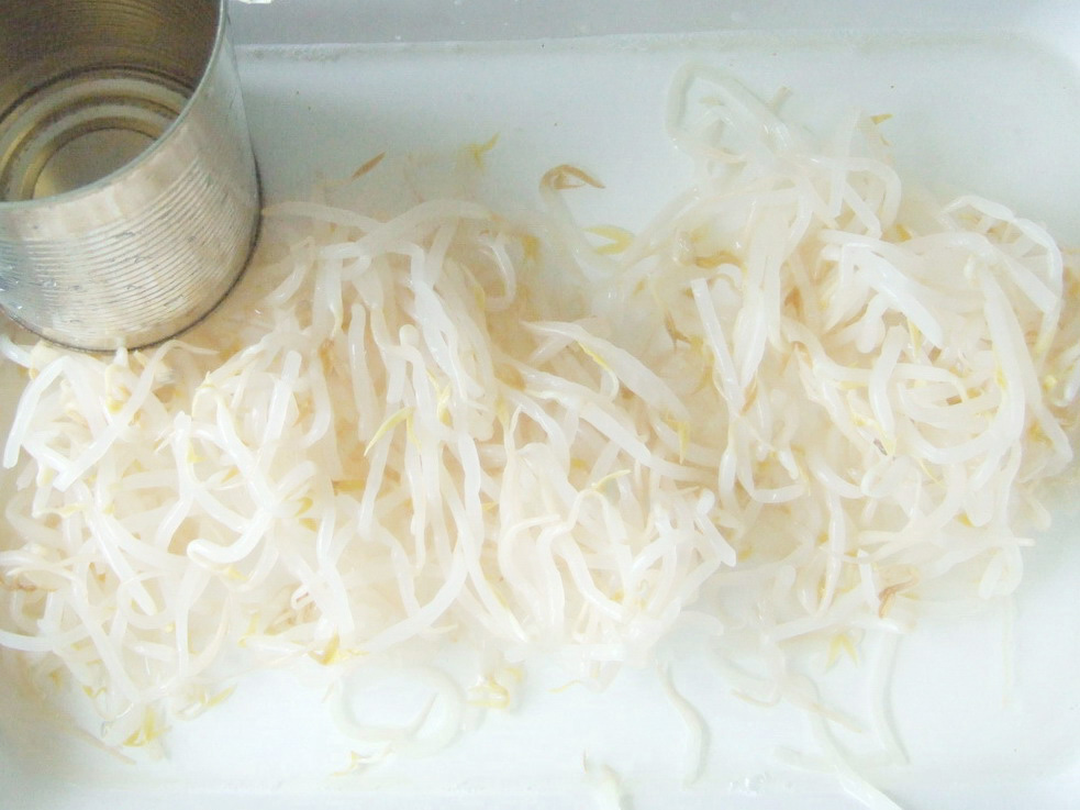 Bean Sprouts-400G