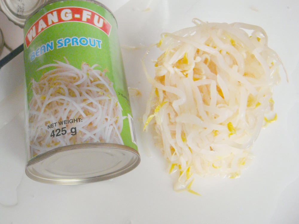 Bean Sprouts-425G