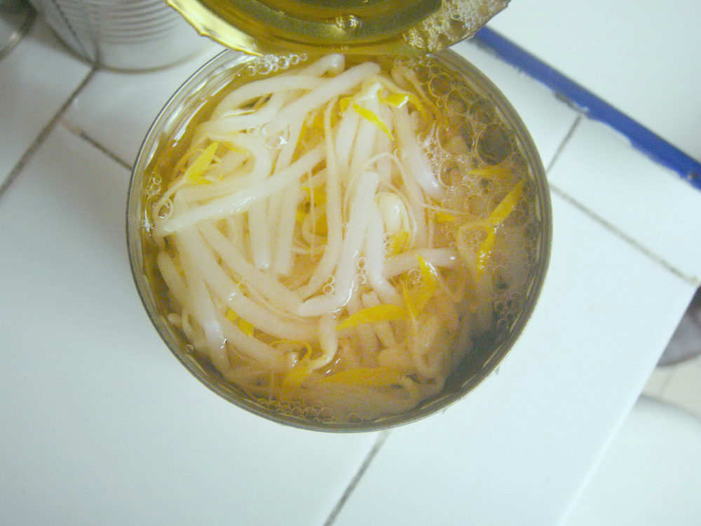 Bean Sprouts-425G-2