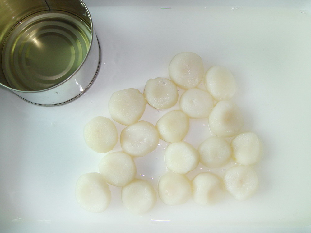 227g-Water Chestnut Whole-1
