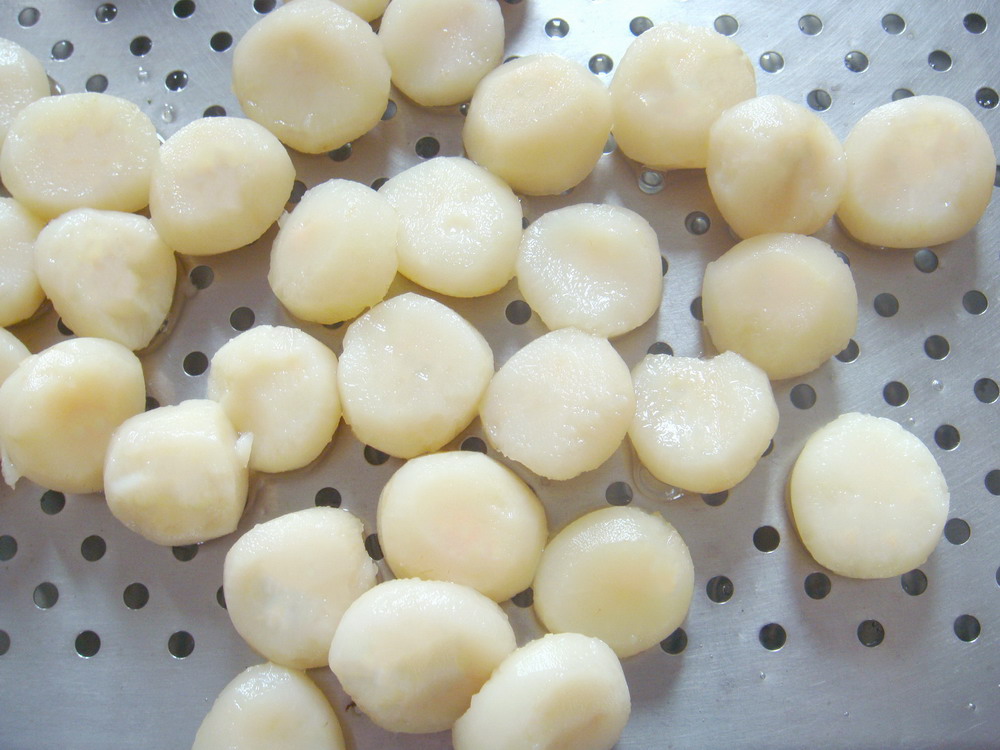 425g-Water Chestnut Whole