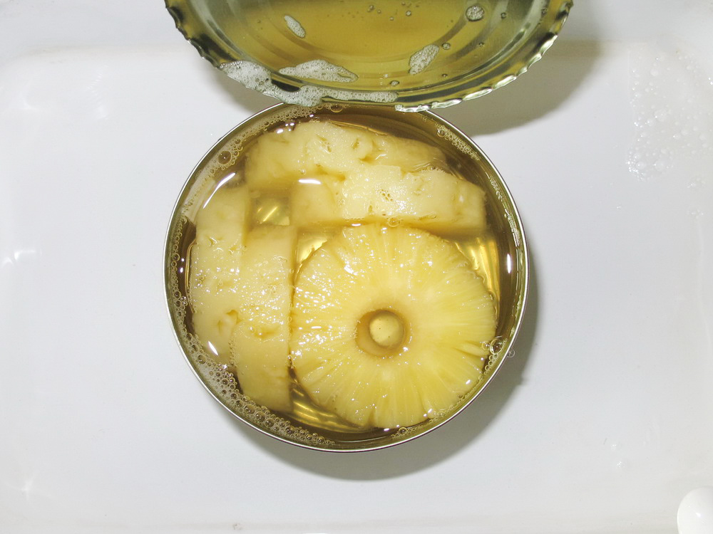 454g-Pineapple Slices-1