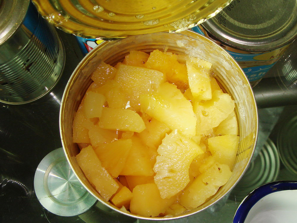 850g-Pineapple  Pieces-1