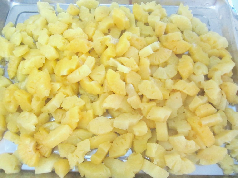 3005g-Pineapple Pieces-2