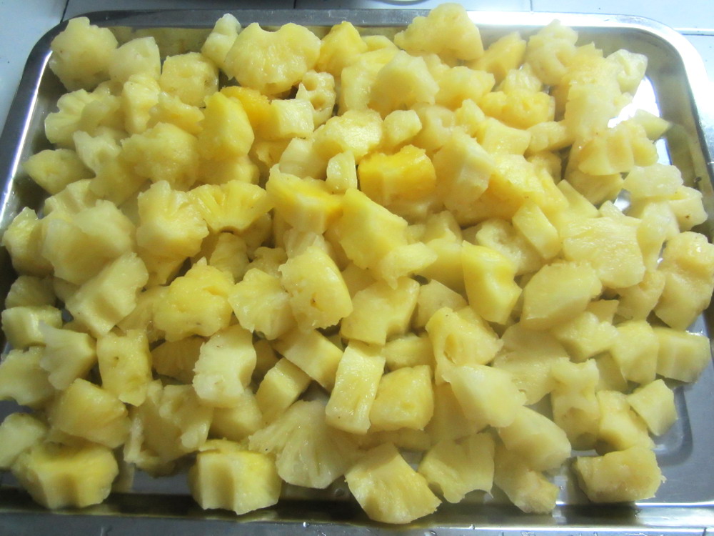 3005g-Pineapple Pieces-3