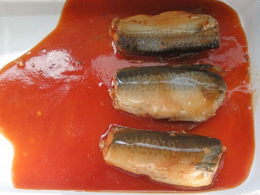 CANNED MACKEREL IN TOMATO SAUCE (3)