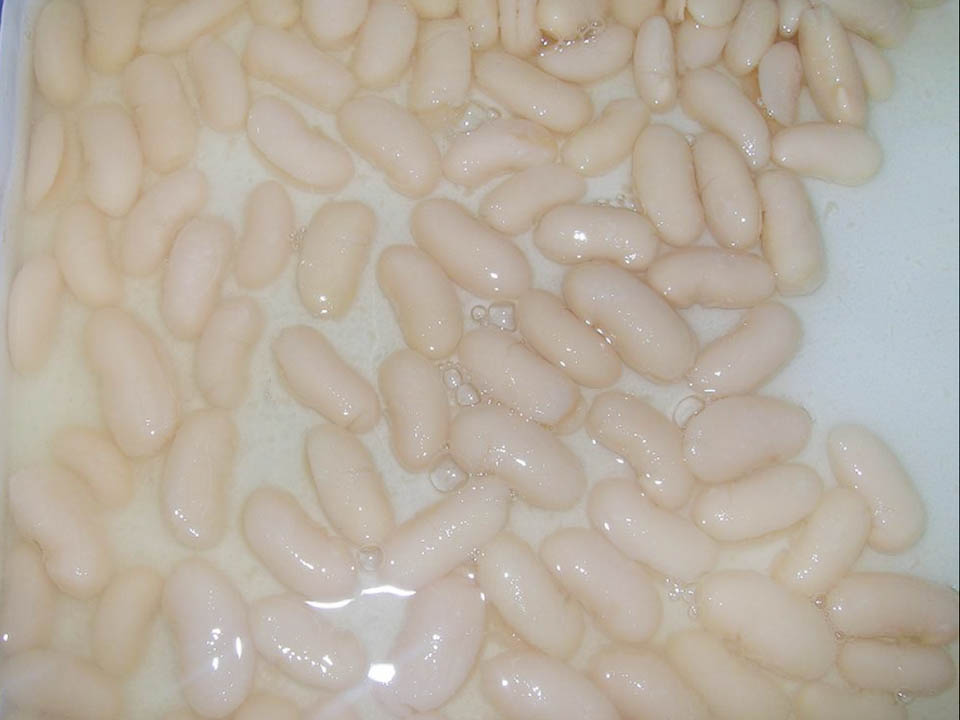 White Kidney Bean-1