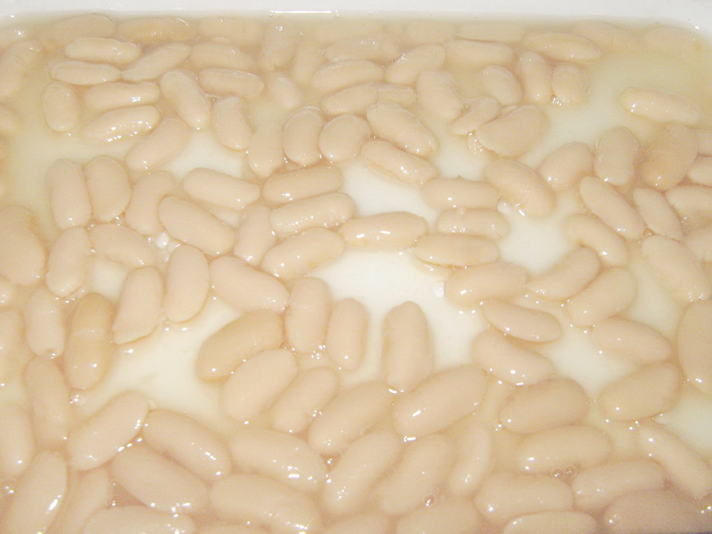 White Kidney Bean-2