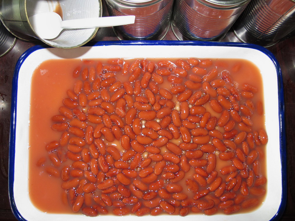 Red Kidney Bean in Tomato Sauce-1