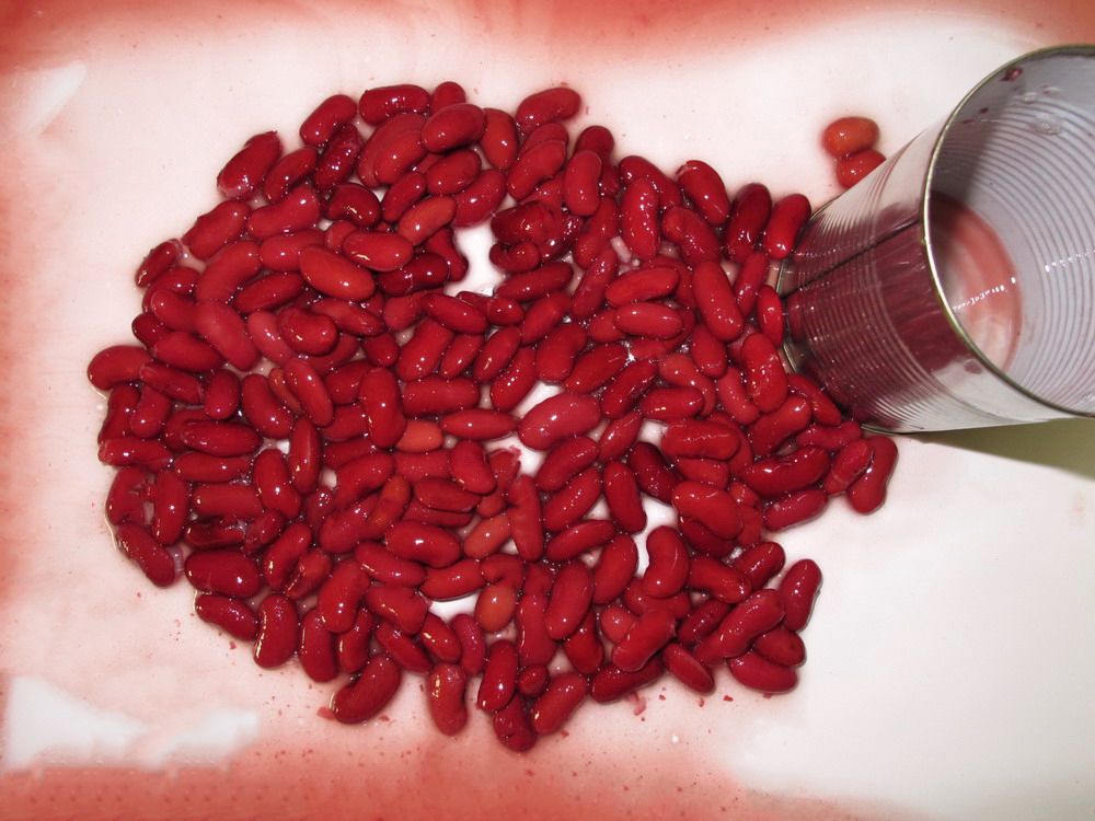 Red Kidney Bean-Dark Red-2