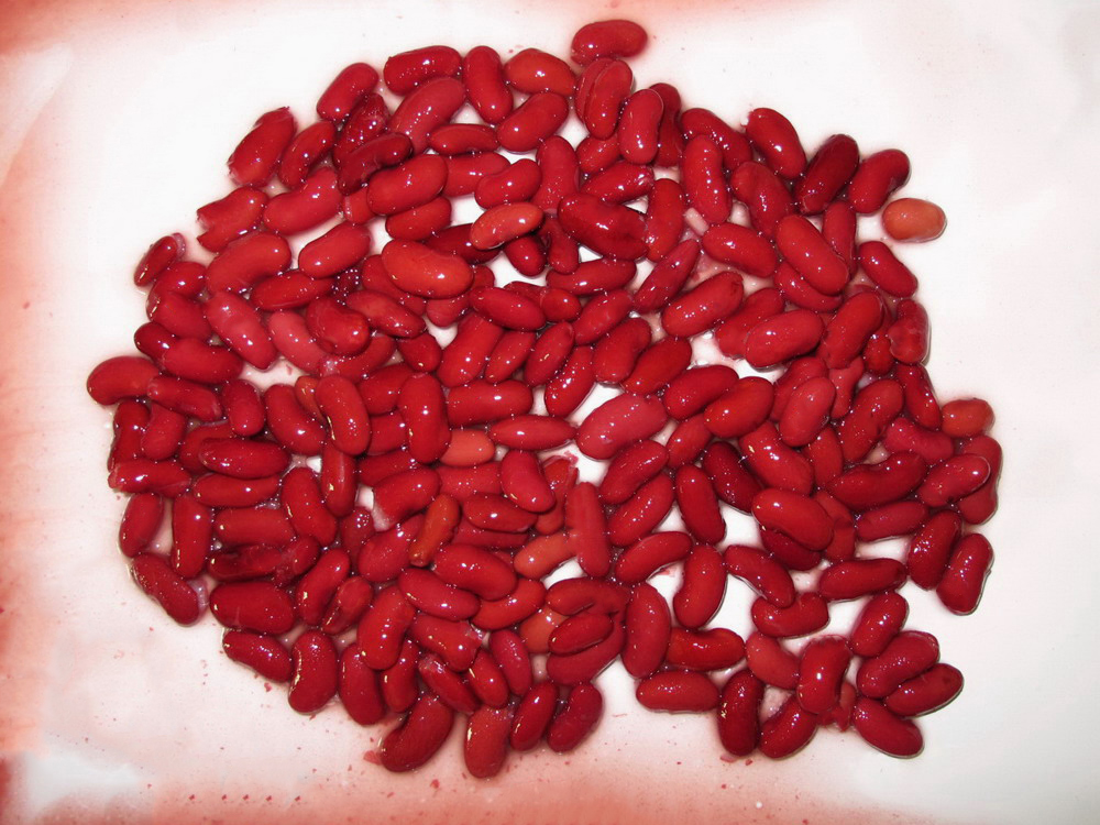 Red Kidney Bean-Dark Red-3