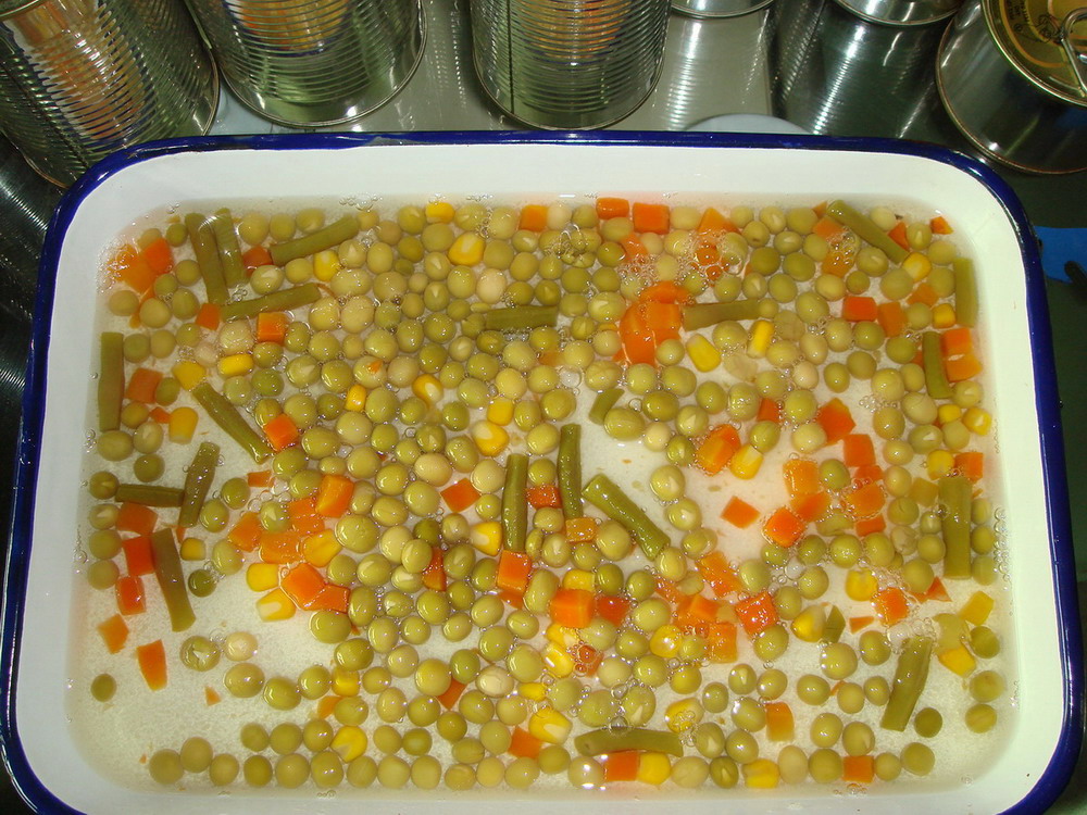 Pea+Corn+Carrot+Bean